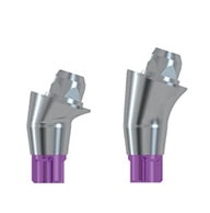 Conelog Progressive screw-retained prosthetics
