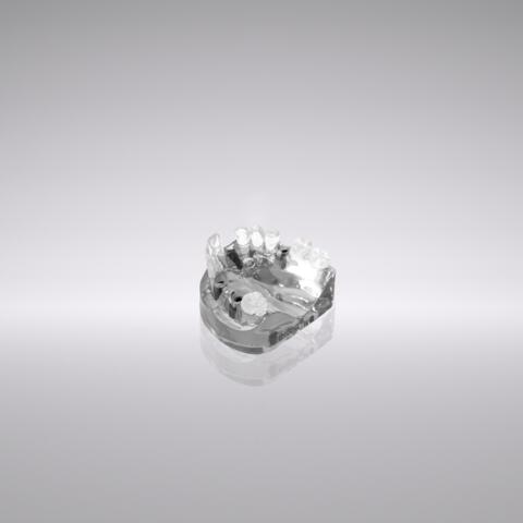 CONELOG® Demonstration model, acrylic, maxilla