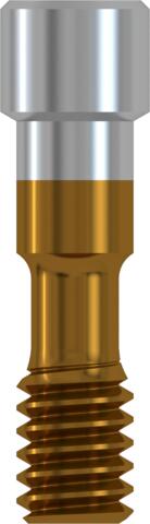 CONELOG® Lab screw for titanium base CAD/CAM, M 2.0 for Ø 5.0