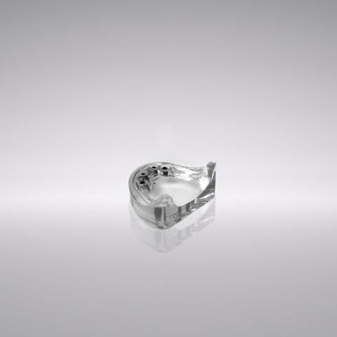 CONELOG® Demonstration model, acrylic, mandible